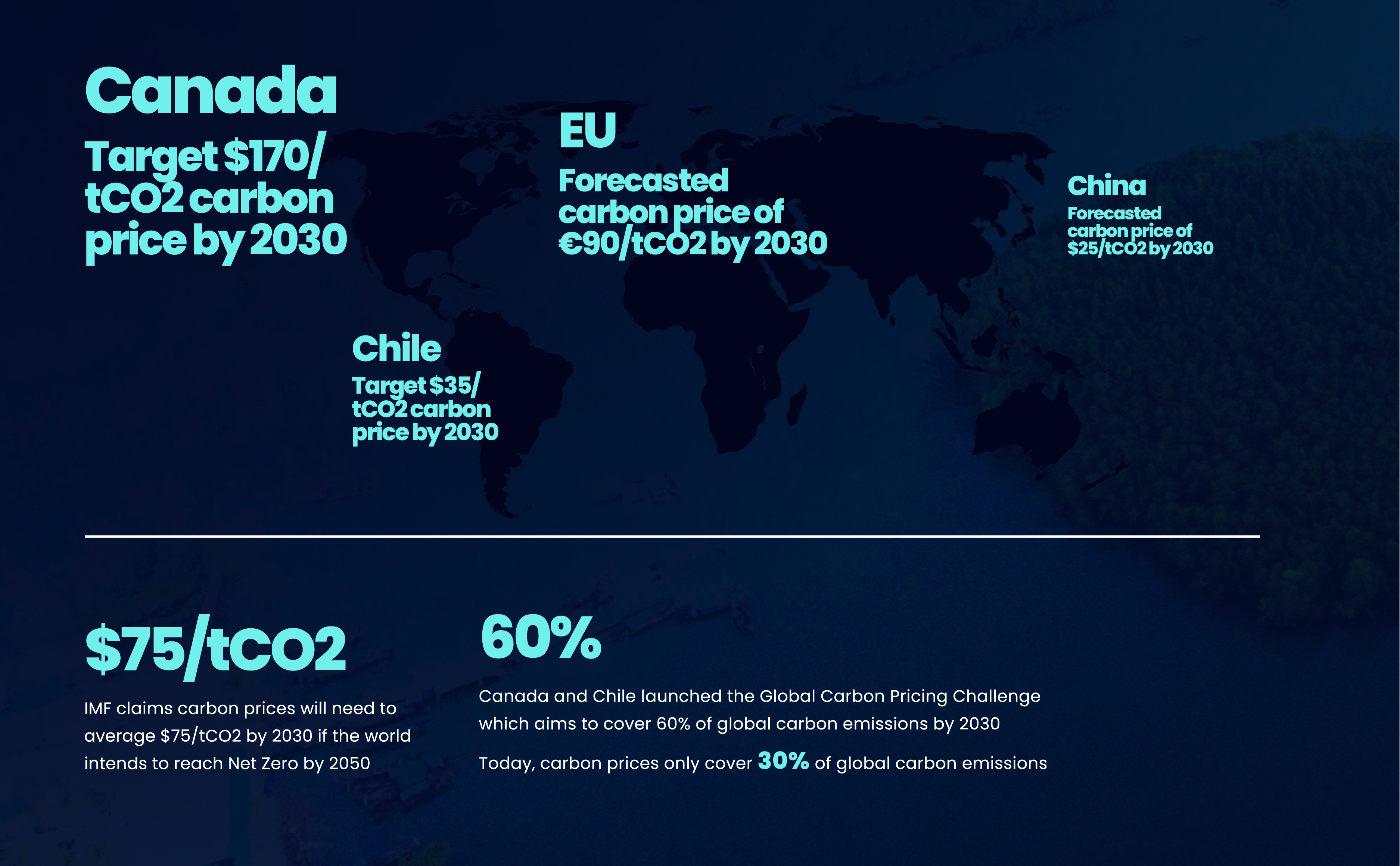 Forging Ahead With Climate Action: What COP27 Means For Organisations