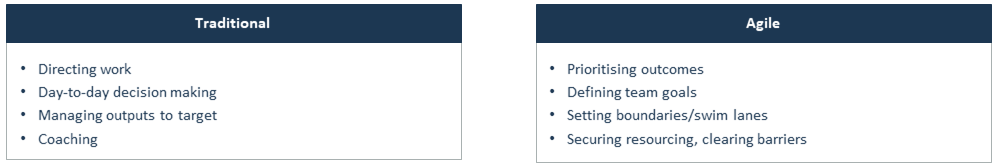 agile-enterprise-2b